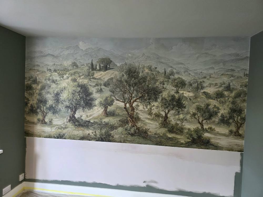 Olive grove wall mural in a bedroom